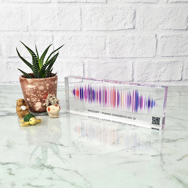 Custom Rainbow Soundwave Art -Voice Recording Gift