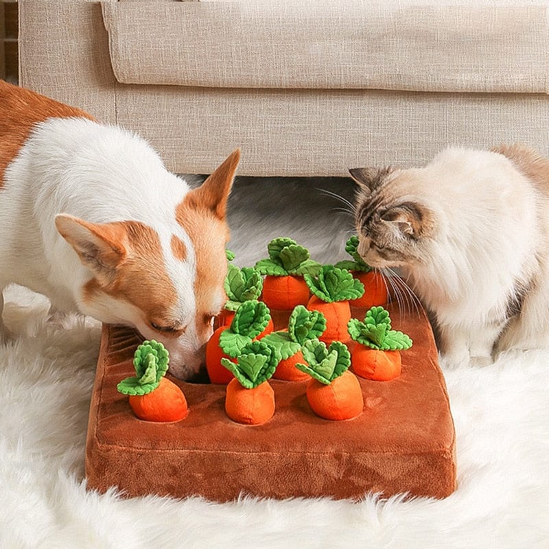 Carrot Farm™