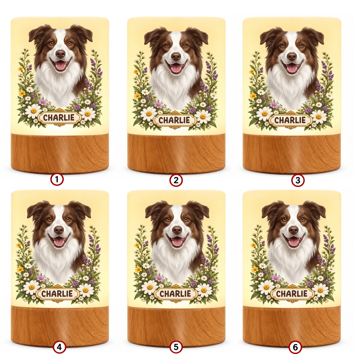 pack-10