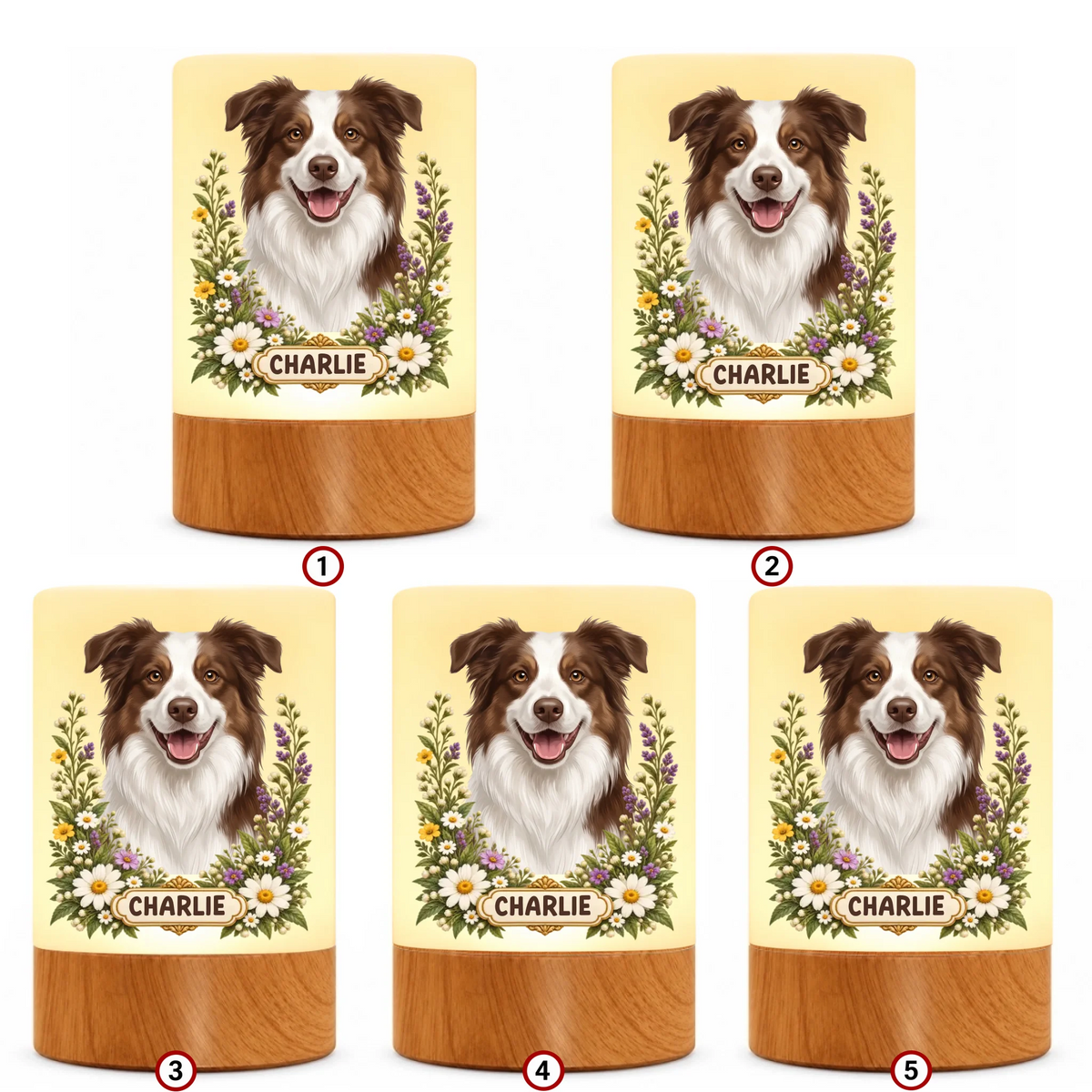 pack-10