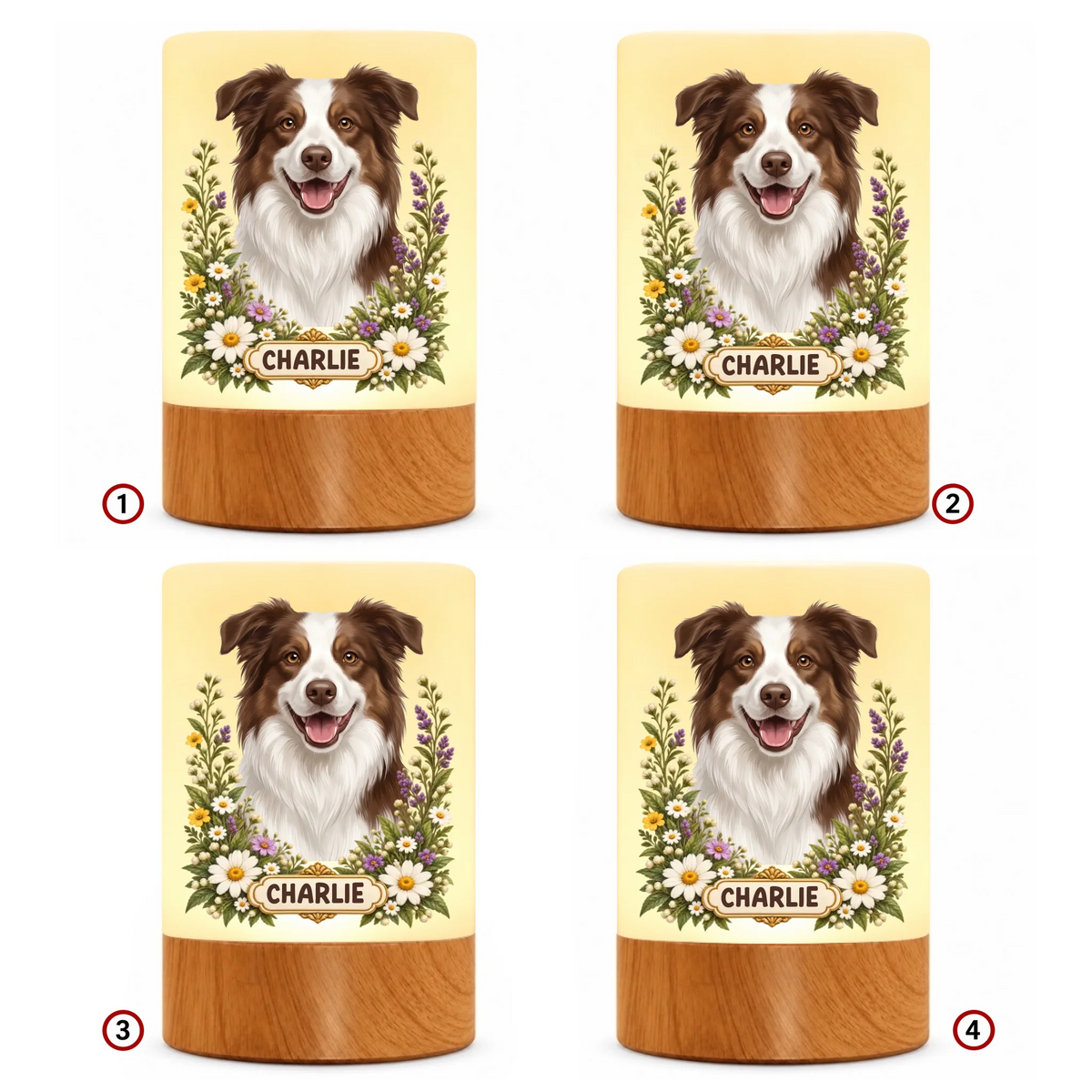 pack-10
