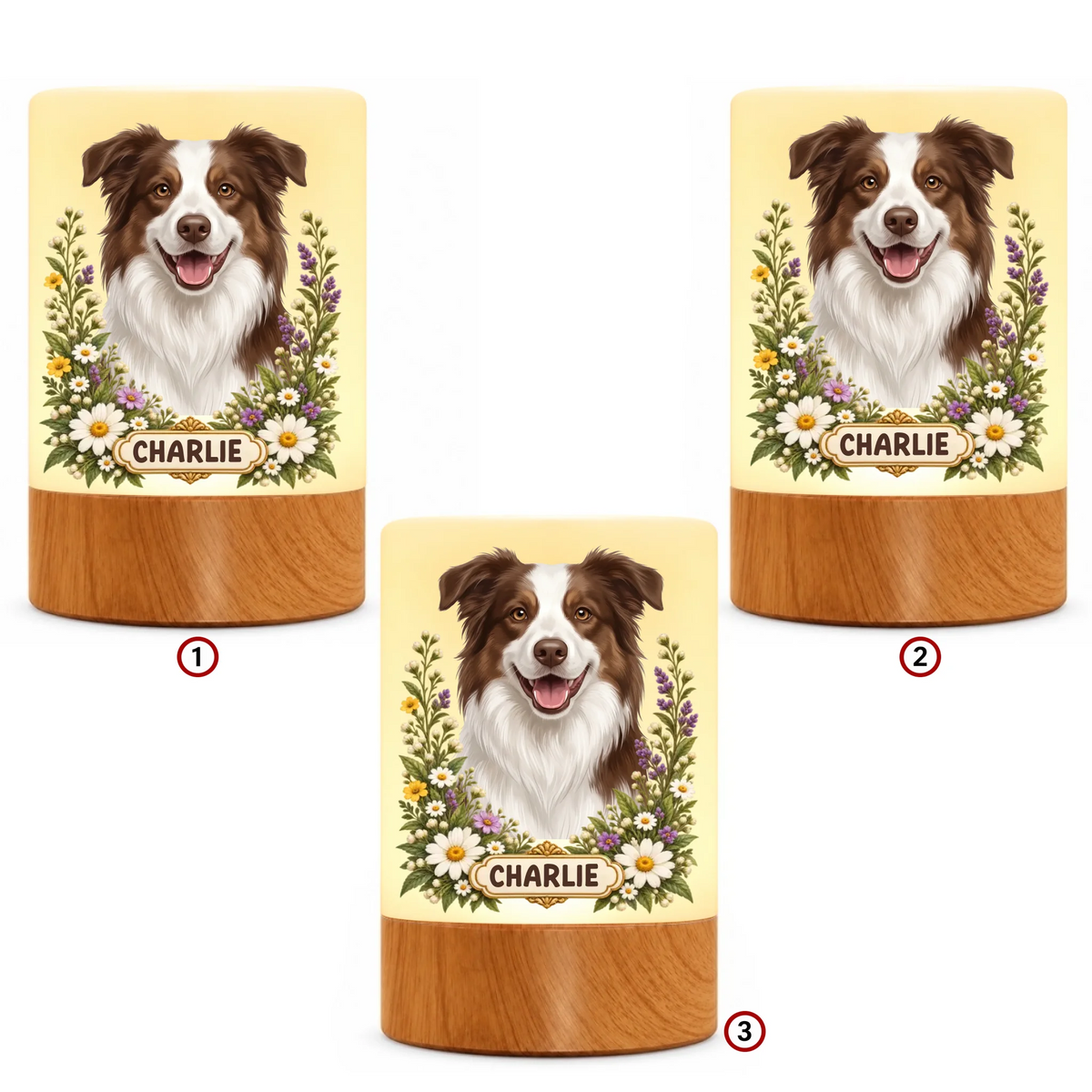 pack-10