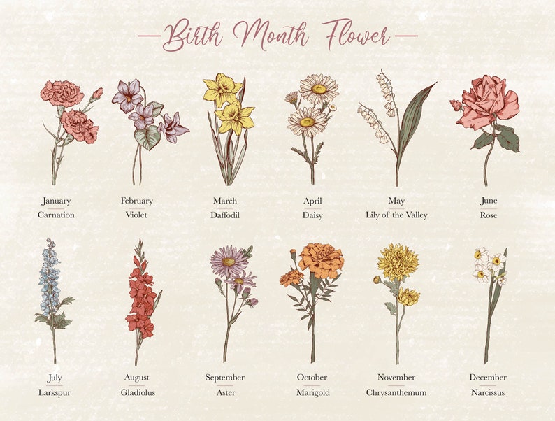 Extra Birth Month Flowers