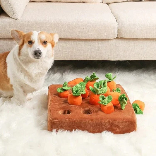 Carrot Farm™